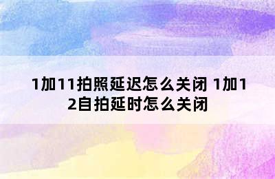 1加11拍照延迟怎么关闭 1加12自拍延时怎么关闭